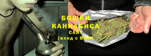амф Вяземский