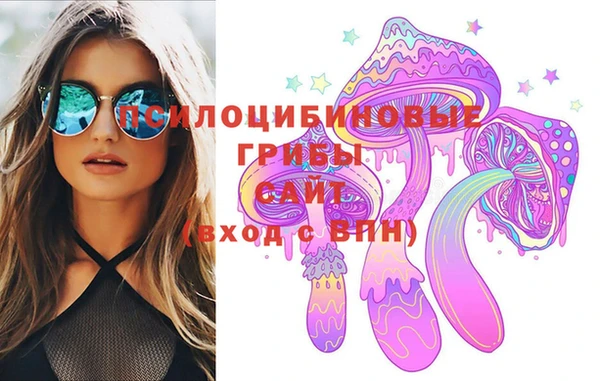 амф Вяземский