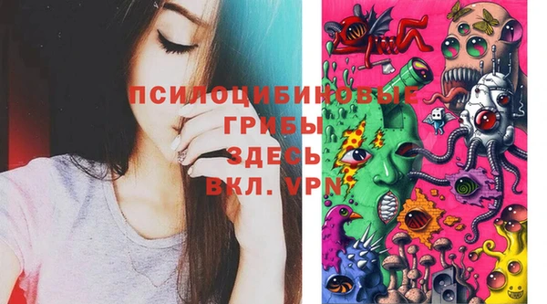 apvp Вязники