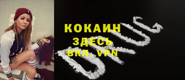 мдпв Вязьма