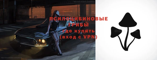 амф Вяземский