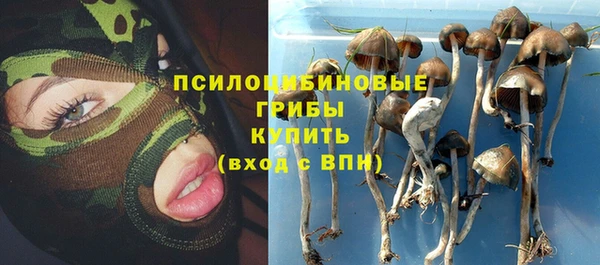 амф Вяземский