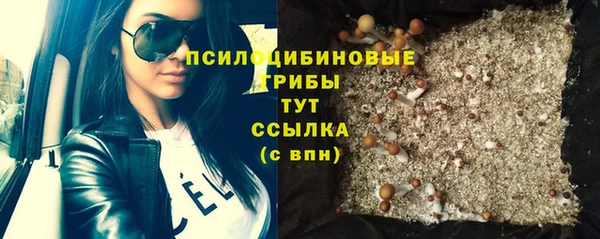амф Вяземский