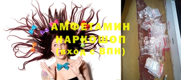 амф Вяземский