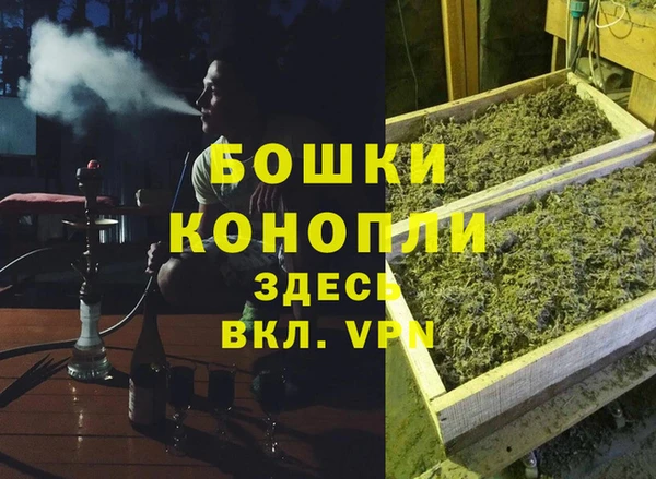 мдпв Вязьма
