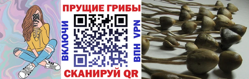 Галлюциногенные грибы ЛСД  мориарти Telegram  Поворино 